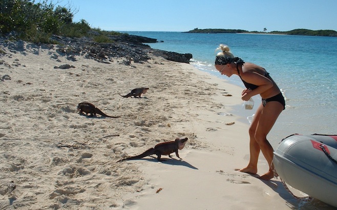 Ali and Iguanas